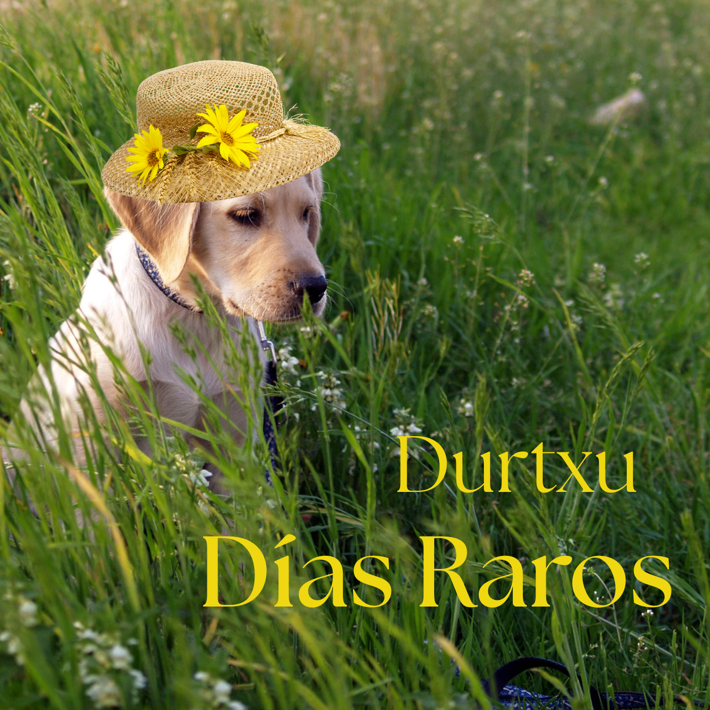 Portada del single Días Raros de Durtxu
